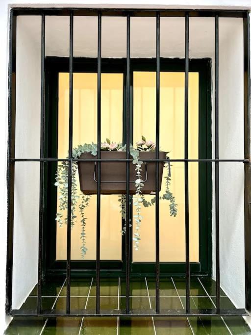 Auxiliadora Luxury Apartment Sevilla Exterior foto